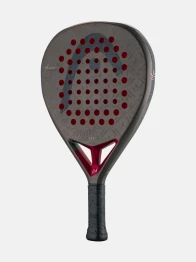 COELLOPRO26
